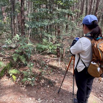 途中一緒したご夫婦