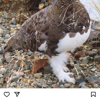 エイジ パパ⛰️😁👍