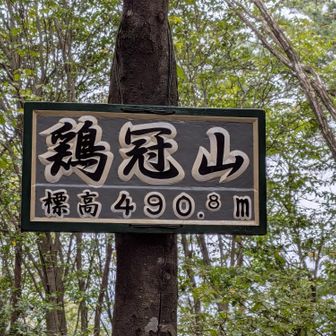 けいかんざん
ずっと
ニワトリカンムリヤマと
思っていた🐔恥ずかしいっ