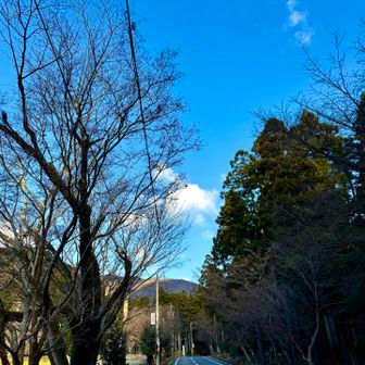 天気は良いんだけどな〜