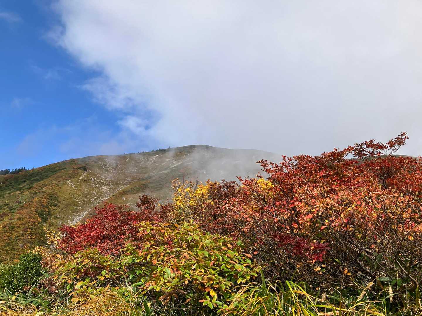 巻機山登山口-割引岳-巻機山-前巻機 周回コースの写真