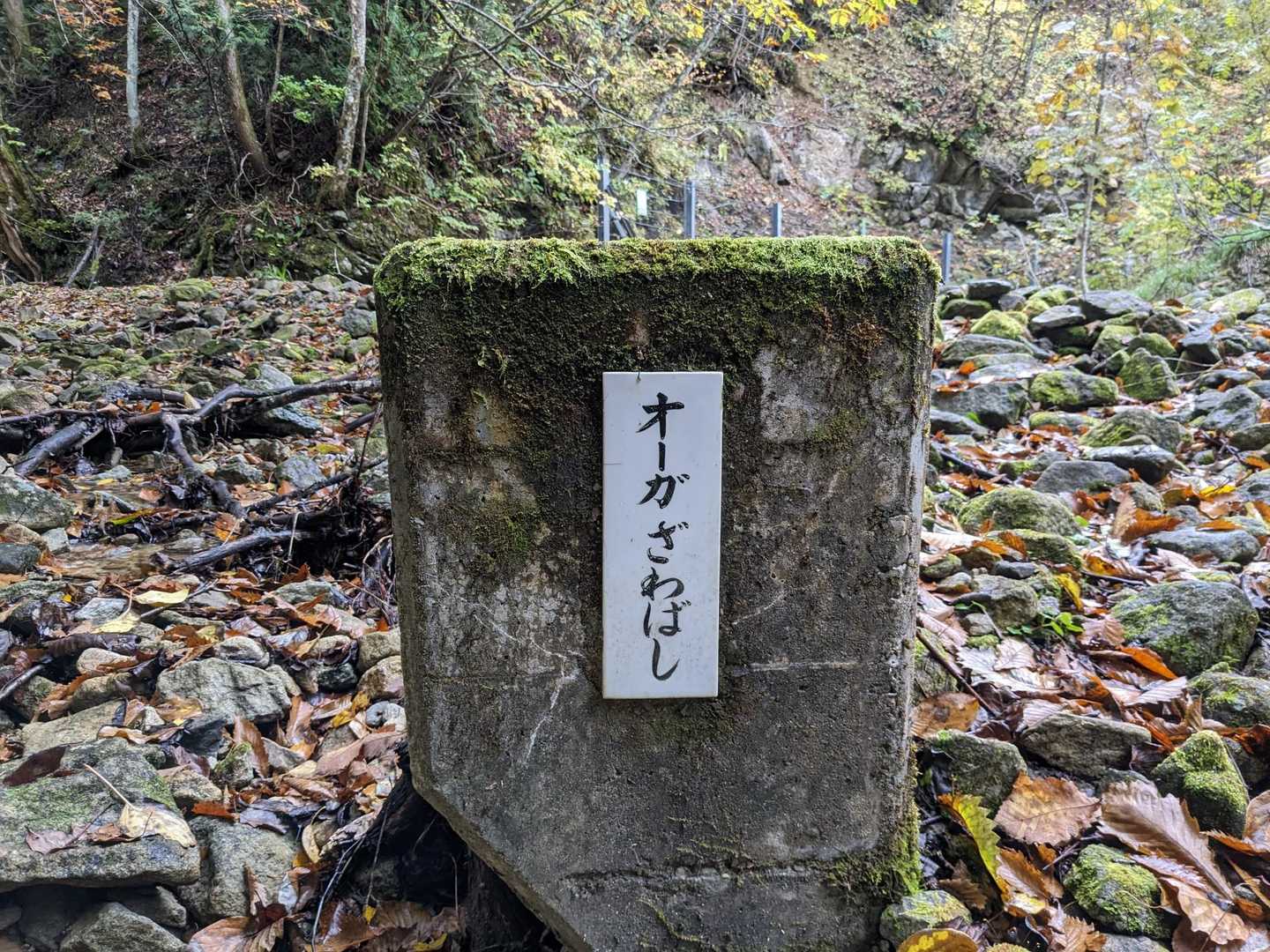 オーガ
