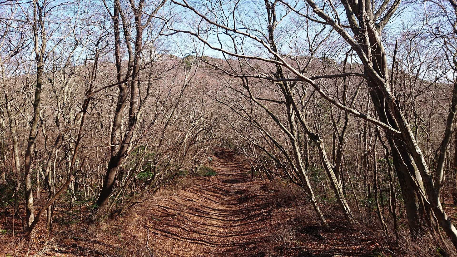この道が好き🙆
