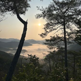 雲海見れると得した気分
早起きは三文の徳