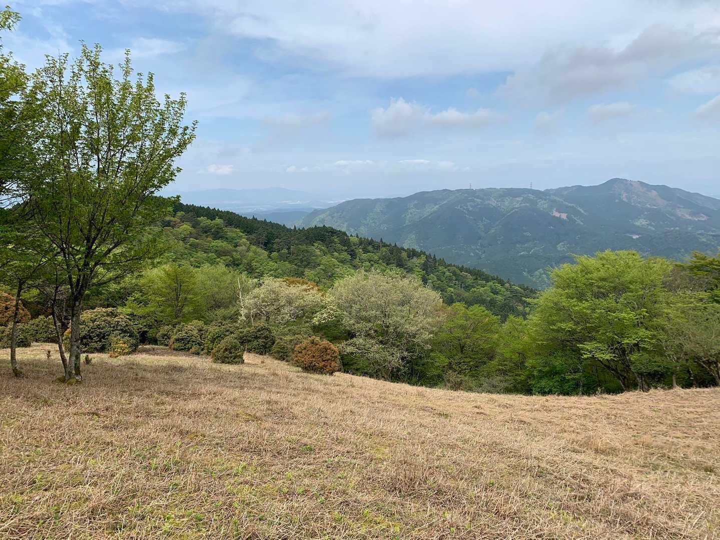 最高‼️