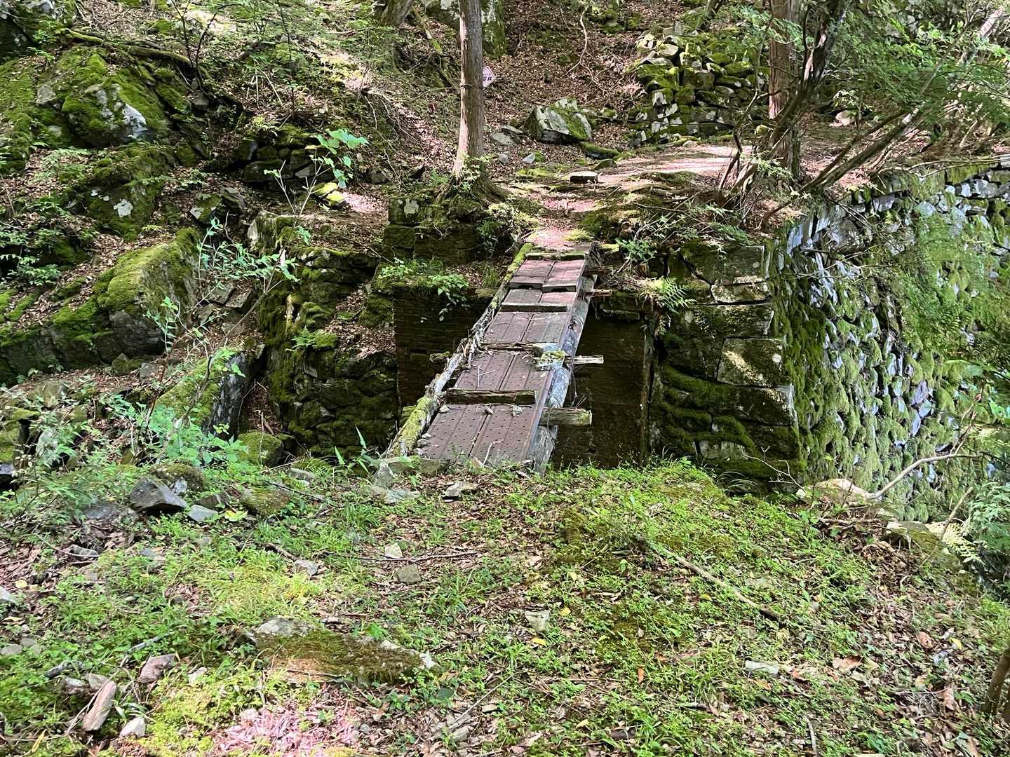 この橋も通行不能