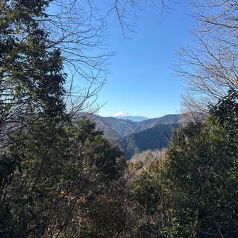 ずっと眺望はイマイチだったけど、やっとこさ富士見台に来て、この景色。🗻