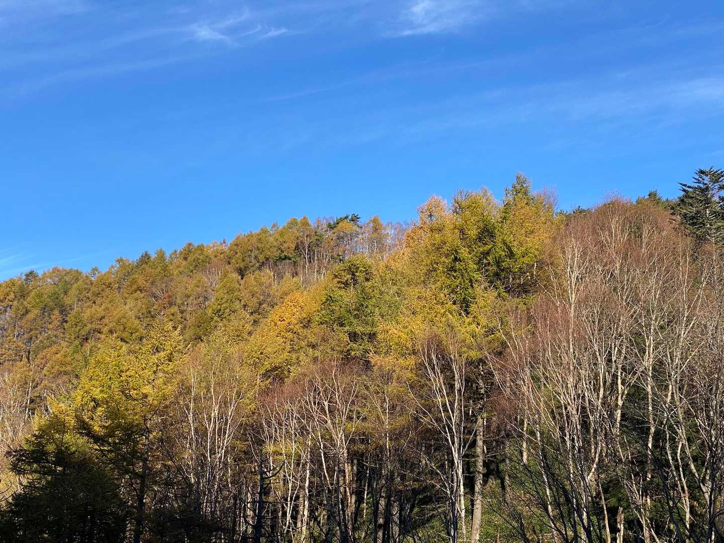青空ありがとう😊