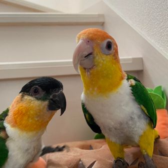 タクヤ