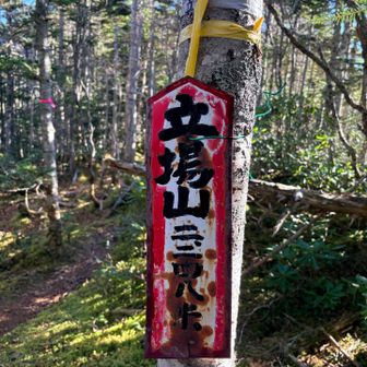 やっと着いた