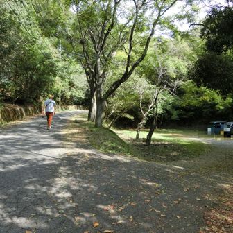 初めての蔵王山です🎶
どこの登山口から登るか迷った結果、ここからスタート🚶🚶‍♀️
雨の心配をして大きな傘を持ってきました😁お守りです！晴れてますね〜