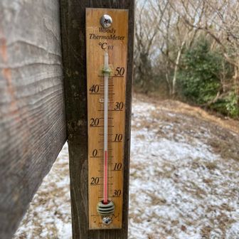 気温6℃
風がないのでそこまで寒くない