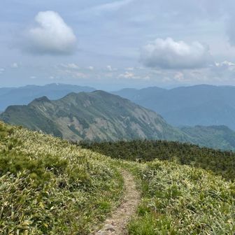 この先にも伸びる登山道
苗場山だ👀