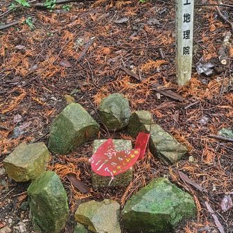 三頭山三角点
