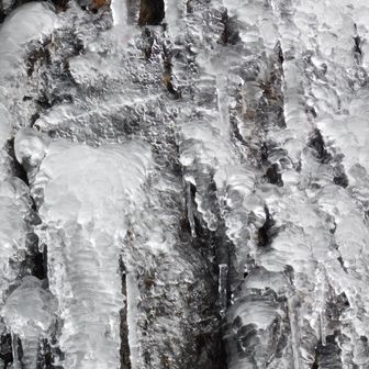 モリモリ感が半端ない(๑´`ﾉﾉﾞ✧