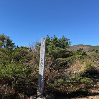 お馴染みの看板w