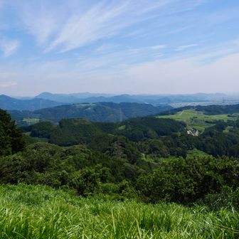 霞んで富士山は見えませんが絶景です！