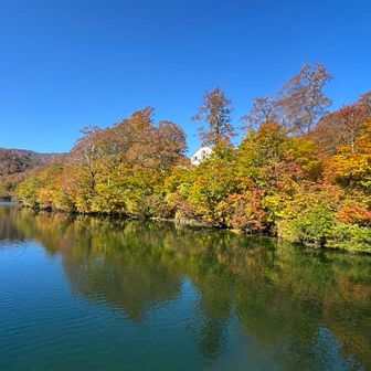 戻ってきたー
今日も大鳥池は綺麗だ👍