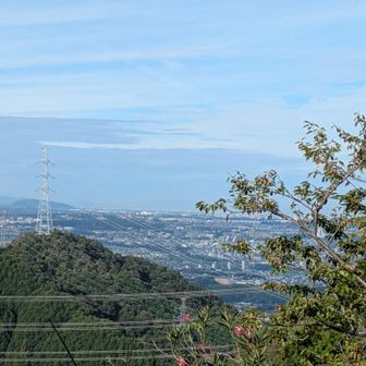 下ばかり見てたので、久しぶりの展望😄
