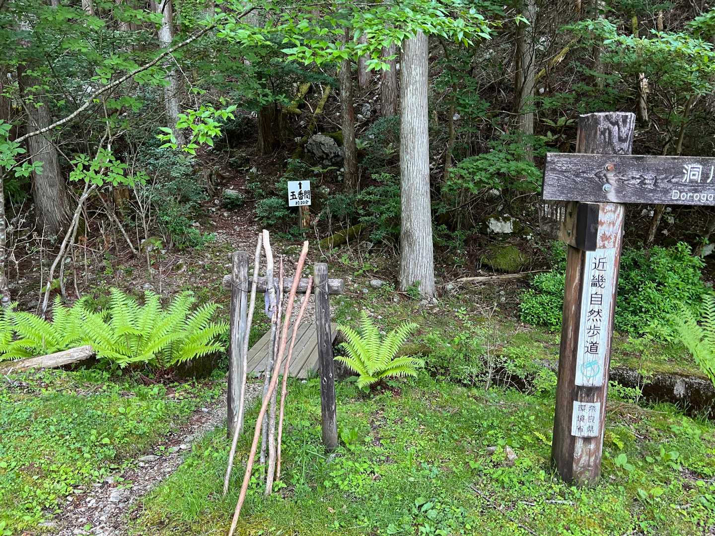 登山口　手製の杖が準備されています