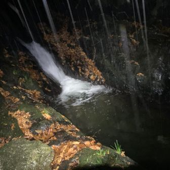 夏用ドボンポイントの視察🤔
これは佳き🤩