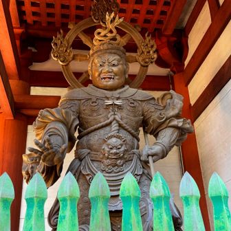 トンボは、前しか飛ばない