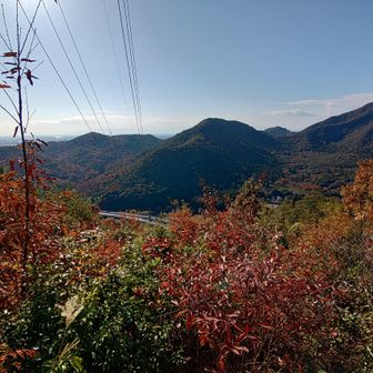 これから行くコース