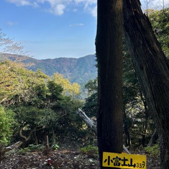 1つ目の山
景色は木に隠れてそんなに見えないが、少し開けた