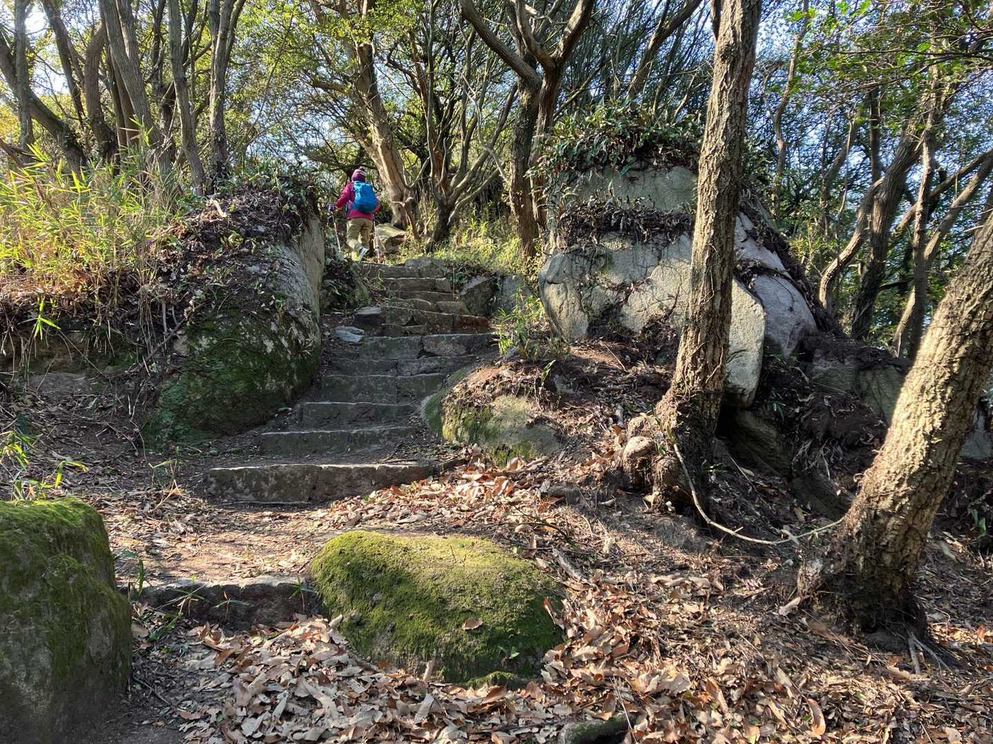 王頭山登山口-王頭山-心経山-心経山登山口 周回コースの写真