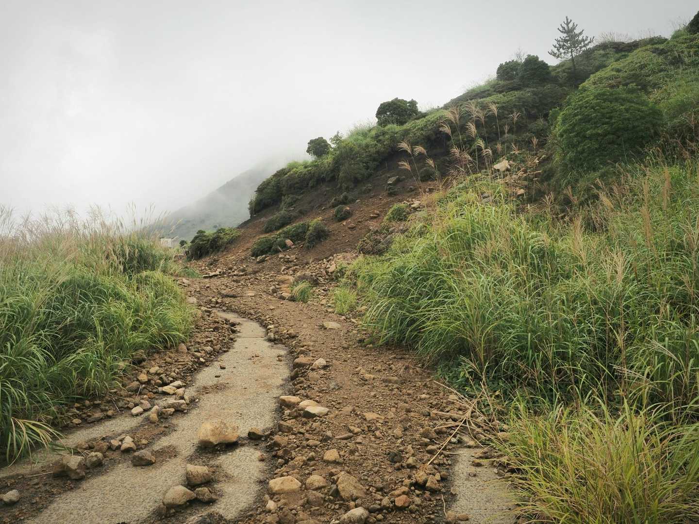 舗装路には
落石や土砂が目立ちます