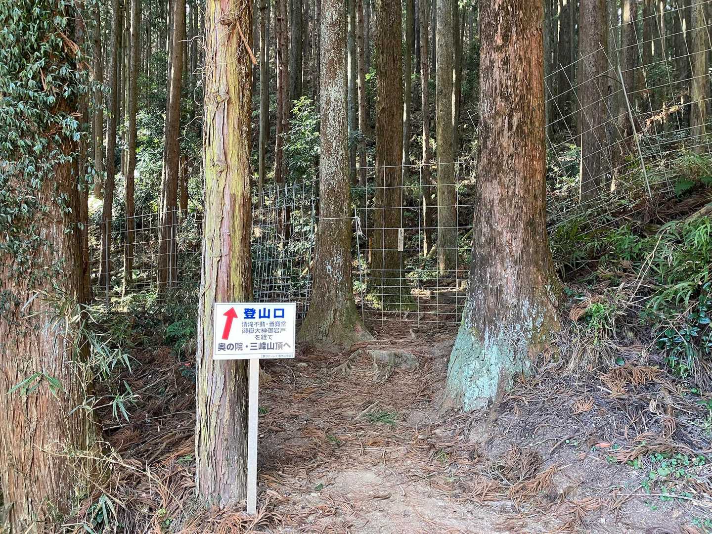柵、フェンスを越えてスタートです！