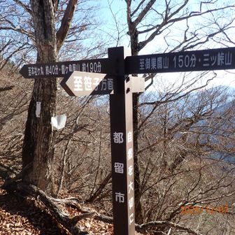 やっと清八（せいはち）峠まで来ました
本社ヶ丸は左ですが清八山に寄る為に一旦右に行きます
三ツ峠山まで縦走する人もいるそうです