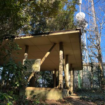 藪漕ぎかと思ったけど、薮はほとんどなく無事通過し、電波塔と東屋を発見💡

前の北峰は公園のようにめちゃくちゃ整備されていたのに、こちらはなんだか暗くてボサボサ？な雰囲気でした😅