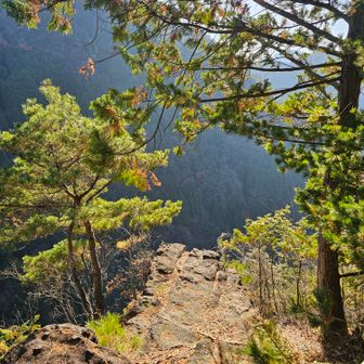 のぞき岩（YAMAP 地図では標高442mの「展望ポイント」）に着きました。
この崖っぷちの岩に立てと…？