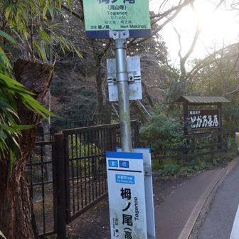 栂ノ尾バス停でゴールです。
なお、このバスはここが始発になるので座れる上に京都駅まで均一料金230円で乗れます。