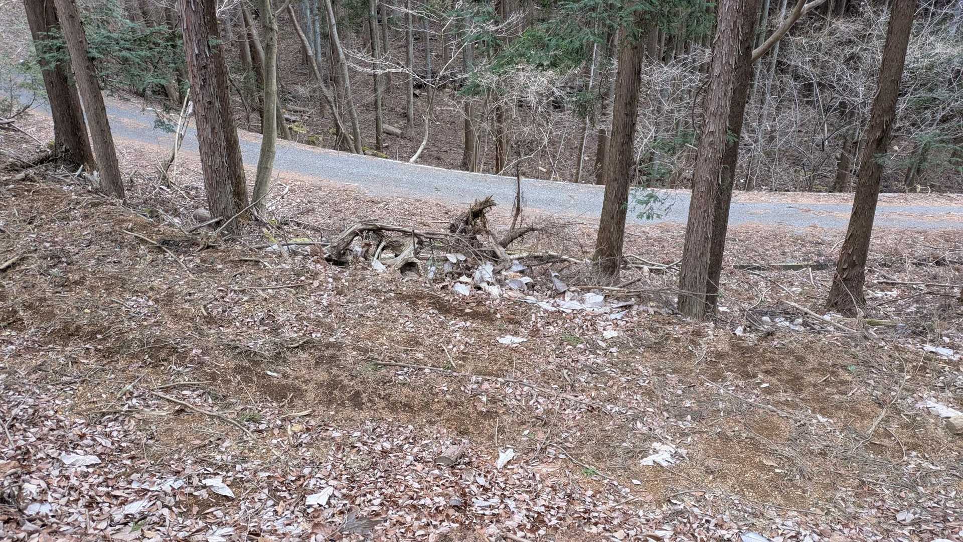 と思ったらコースアウトし、かなり手前の林道に降りてしまった😅
林道回りまーす
