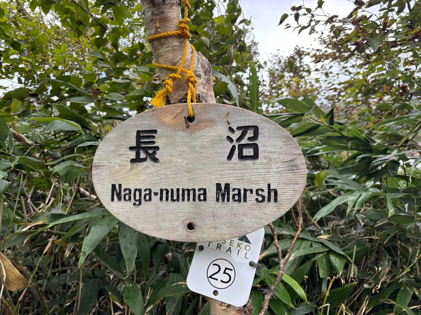 神仙沼登山口-ビーナスの丘-チセヌプリ 周回コースの写真