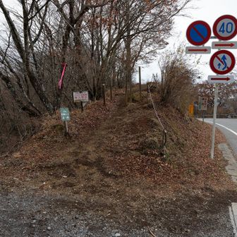 ここから出てきました。
すぐそこにベンチがあって、一休み