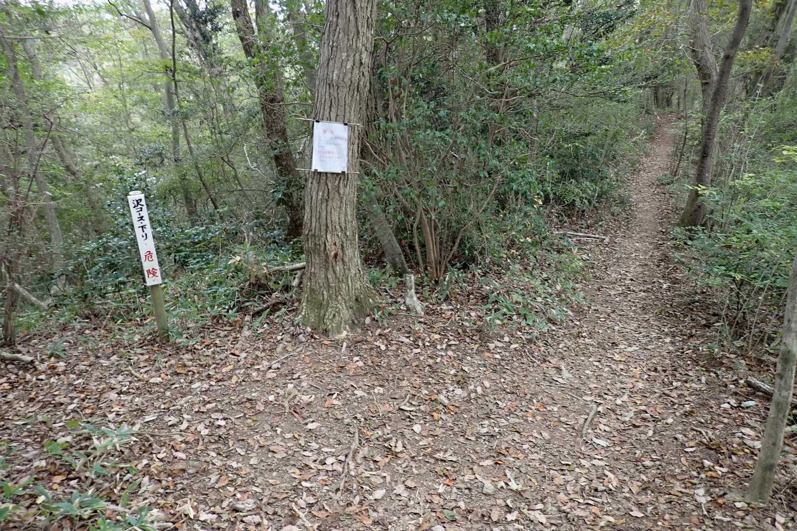 沢コースへの分岐⛰

今日は真っ直ぐ👣