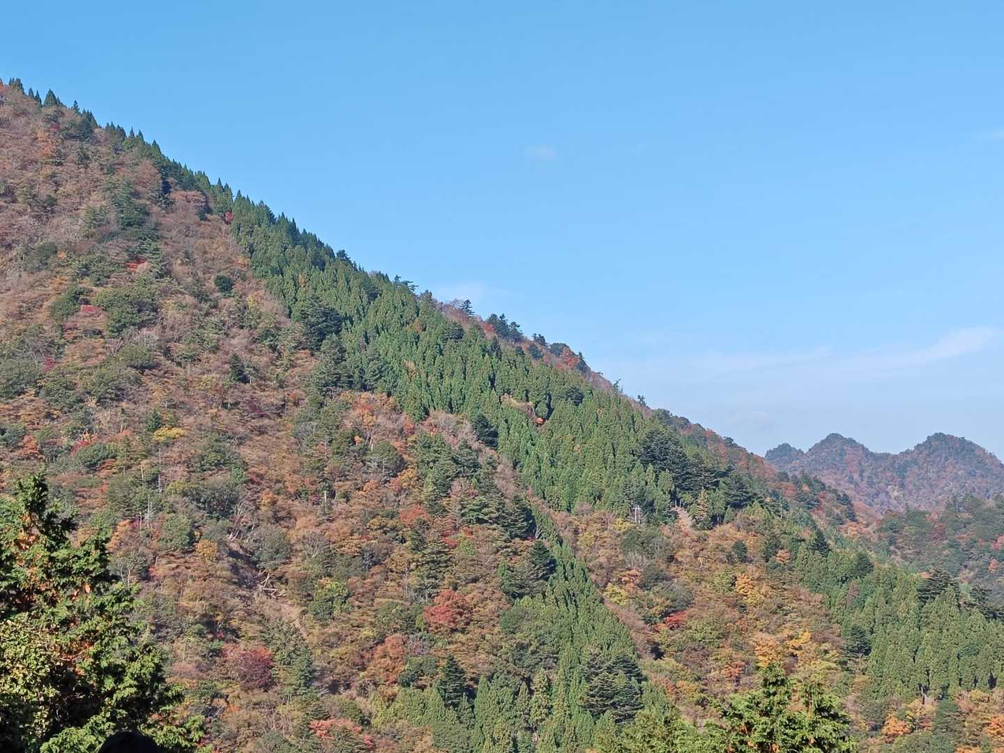 ヤビツ峠-大山-阿夫利神社駅 縦走コースの写真