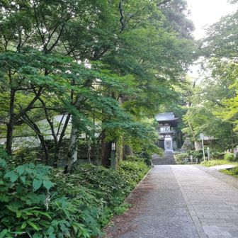 では
