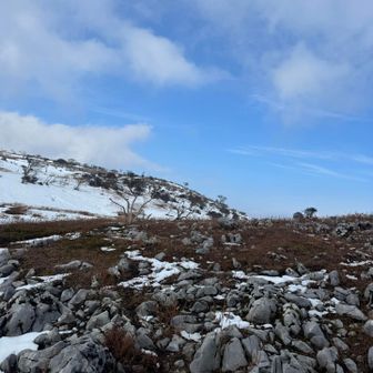 やっぱ青空いいよね💙