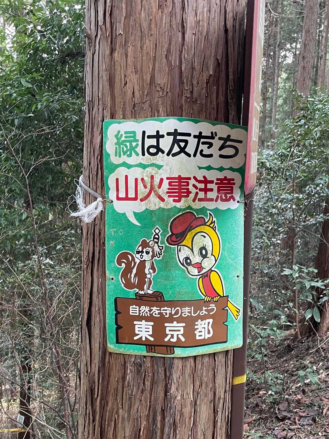 🐿️＆🐤