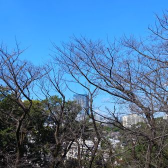 山頂から見た新宿の景色