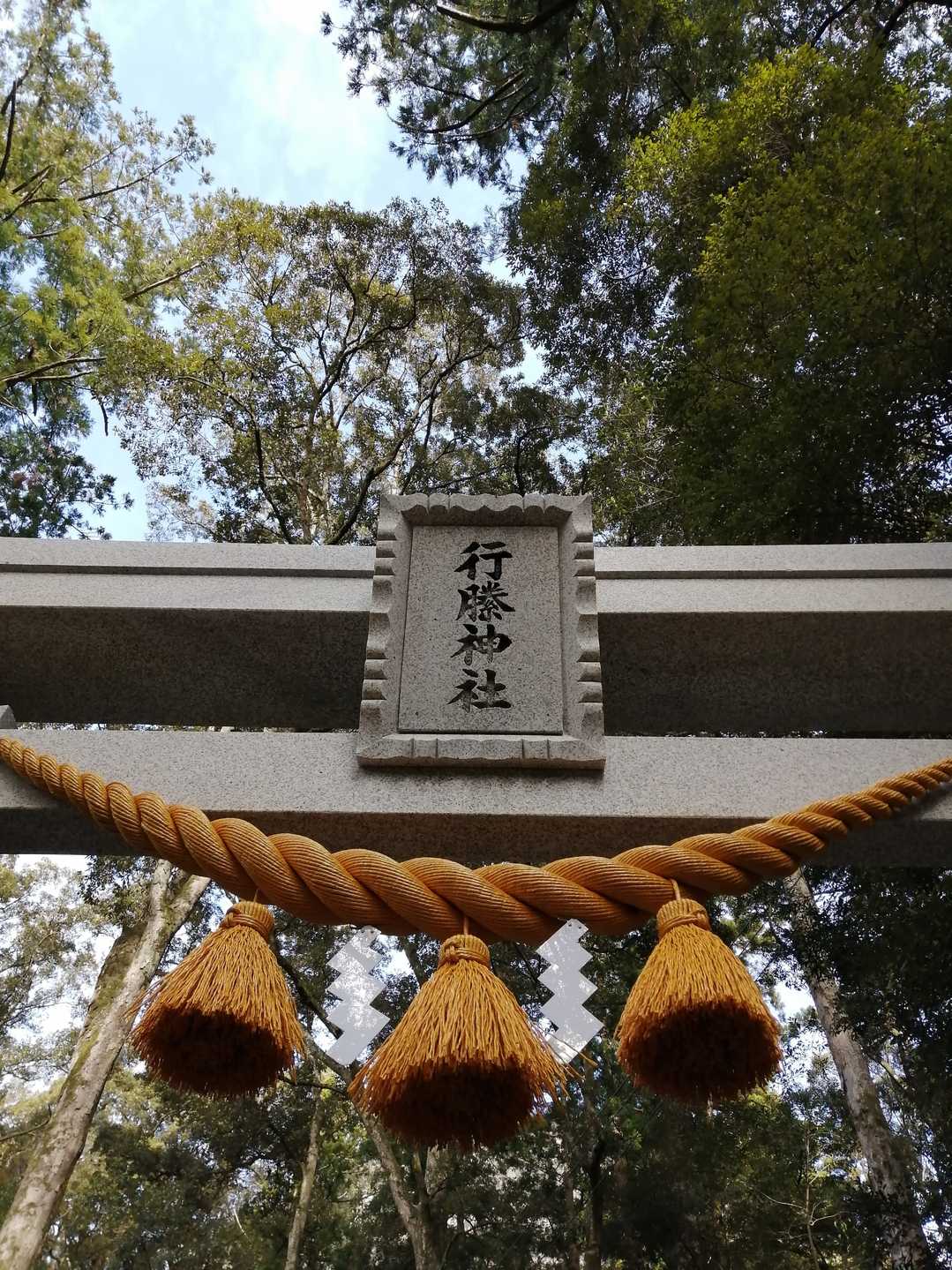 しめ縄もおニュー。