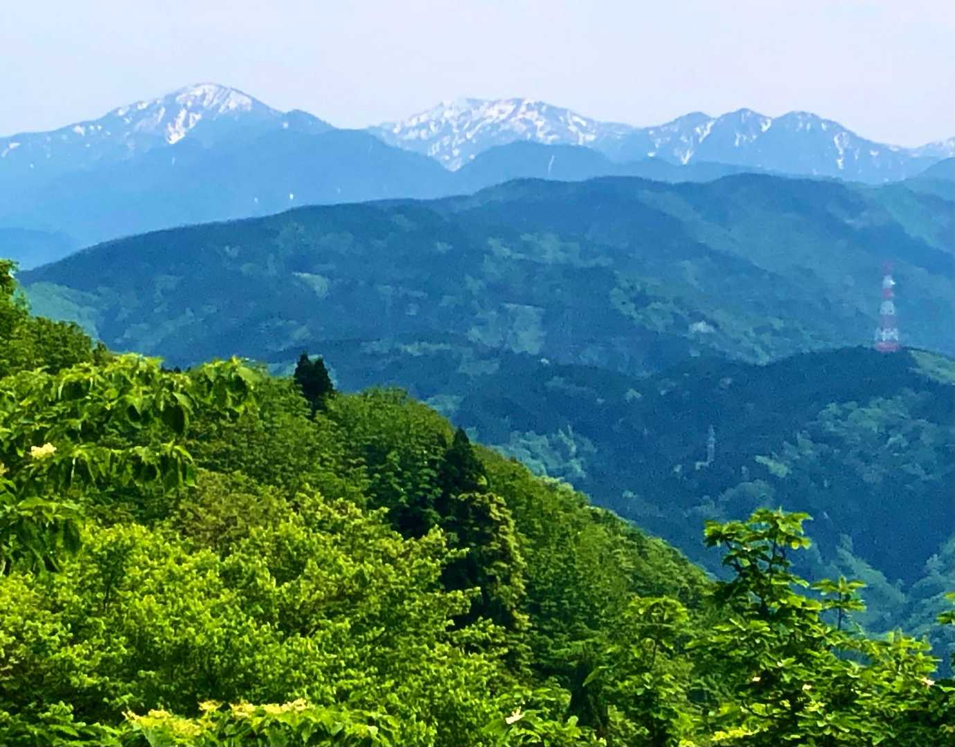 栃尾登山口-イワウチワの丘-奥医王山 往復コースの写真