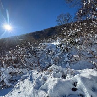 探したが・・・