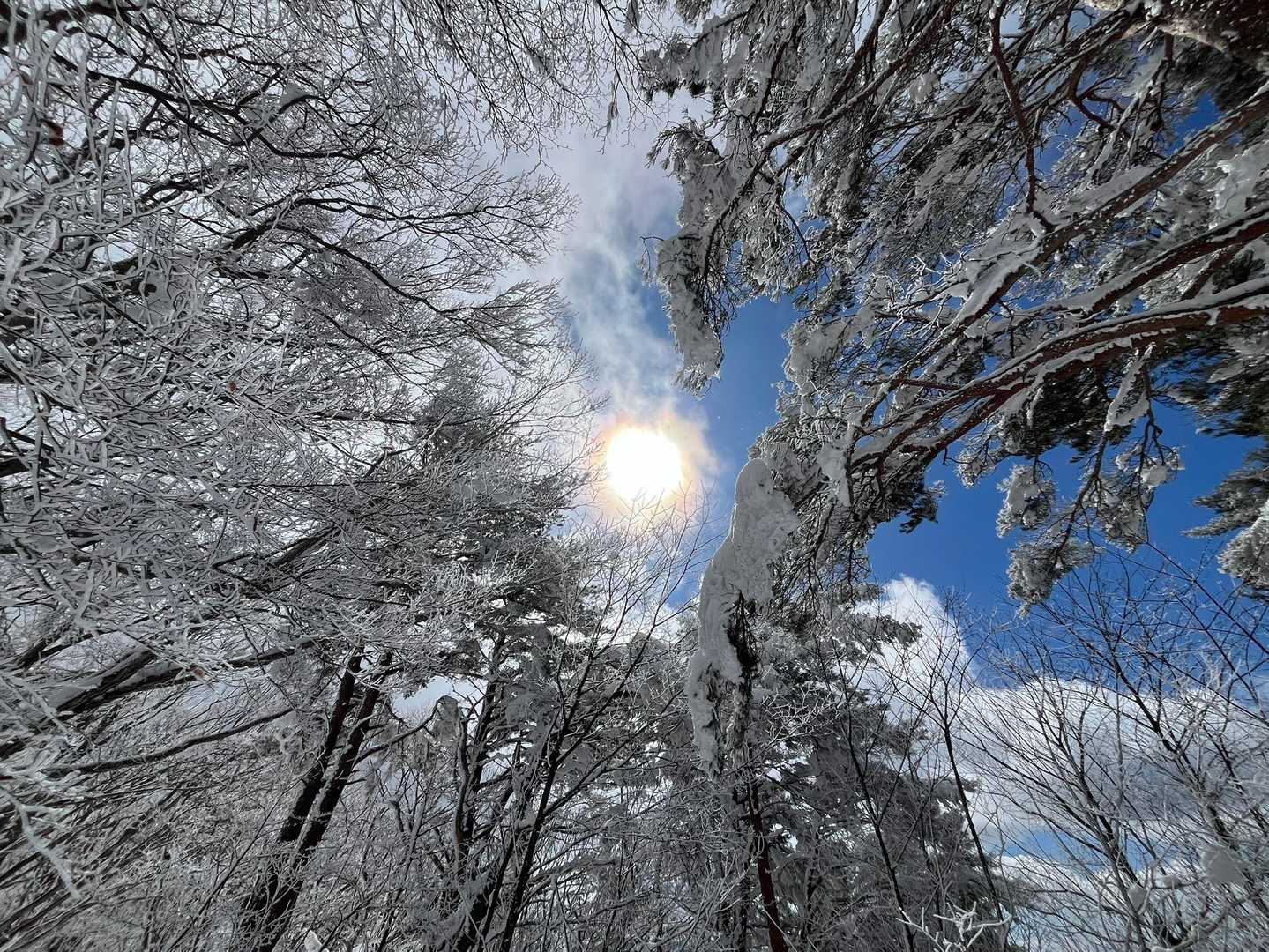 四阿屋山 往復コースの写真