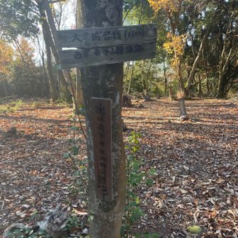 兜山の頂上は看板ないので、ここが頂上と思っていたけど、後から他の方の投稿見て山名板3箇所もあるみたい😱