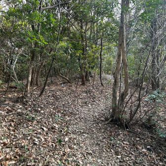 南峰をめざします